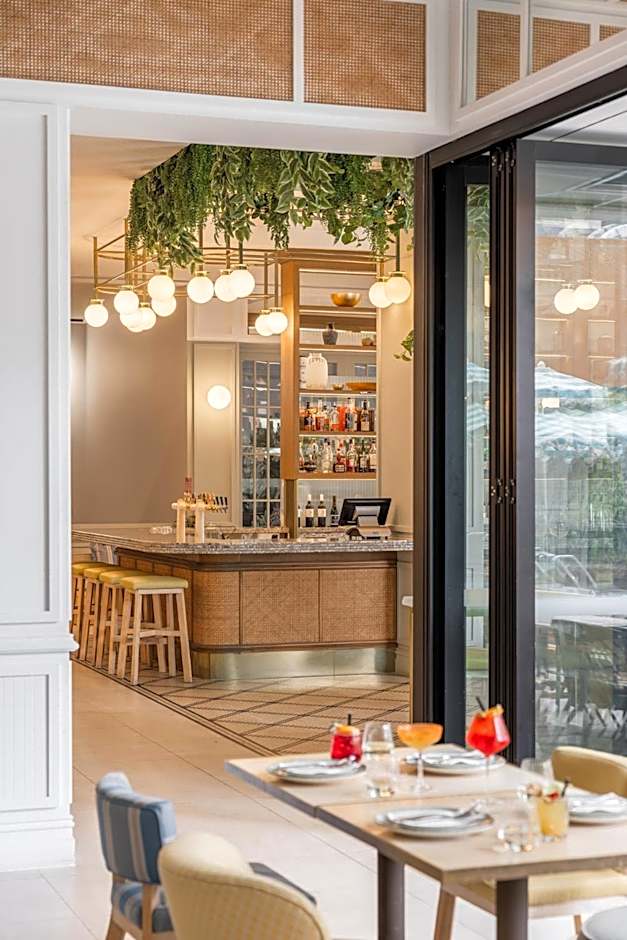 The Adnate - Art Series 