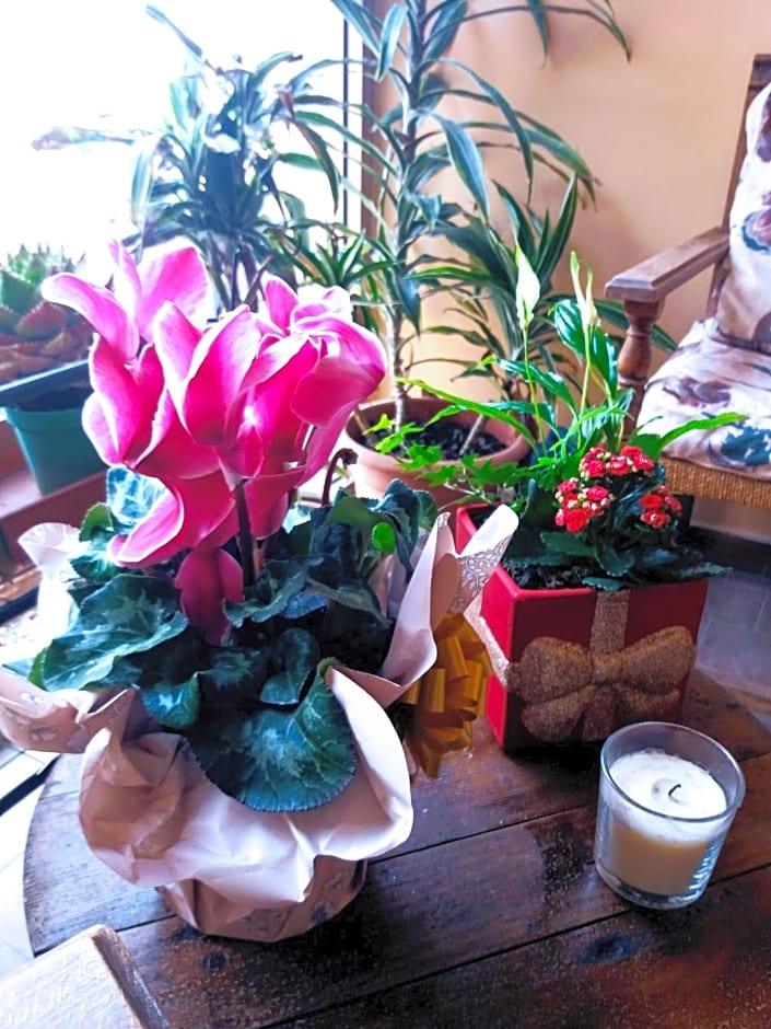 "LA MAISON DEL CORSO" Hospitality