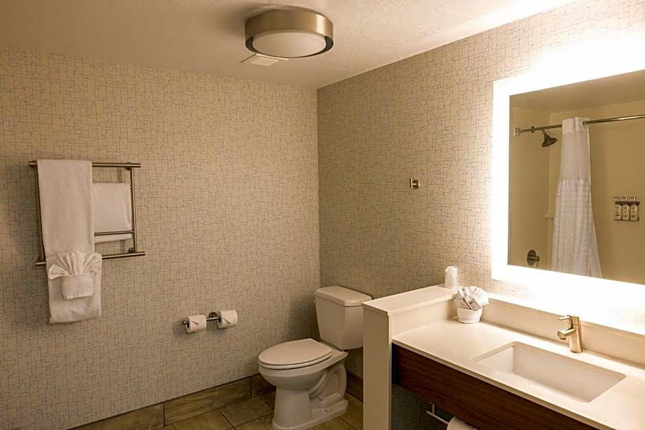 Holiday Inn Express Salt Lake City Downtown By IHG