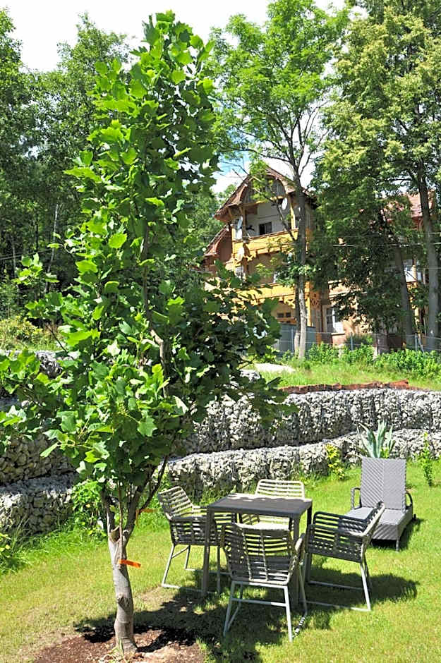 Boutique Hotel Sudetia - Medical & SPA