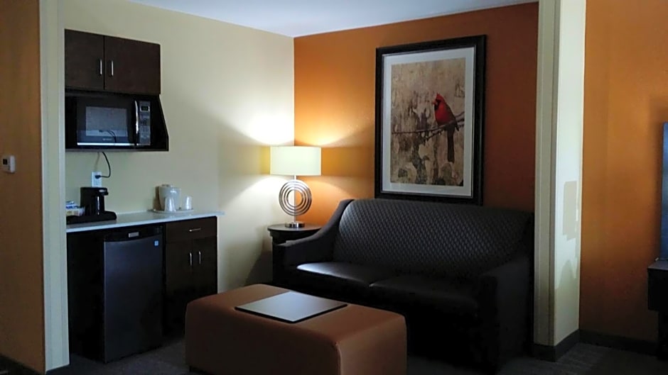 Holiday Inn Express & Suites St Louis Airport, an IHG Hotel By IHG
