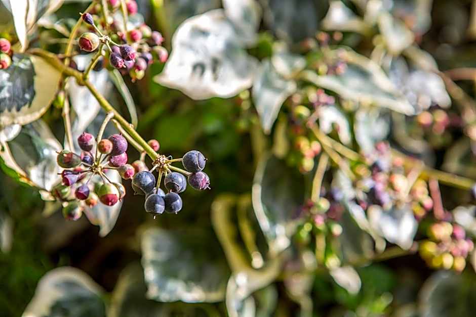Alghero in bicicletta