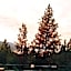 Mountain Lake Lodge