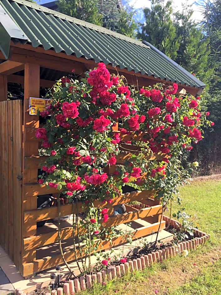 Domki Letniskowe Malinka Dąbki Bobolin