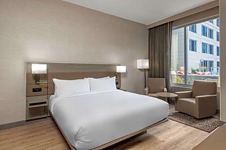 King Suite, 1 Bedroom Suite, 1 King, Sofa bed