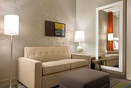 King Studio Suite - Hearing Access/Non-Smoking