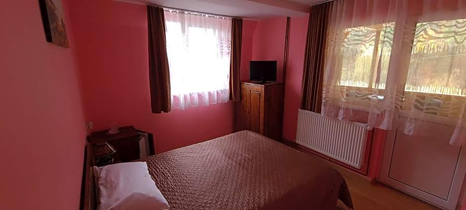 Pensiunea Aurora - Great hostel Voineasa