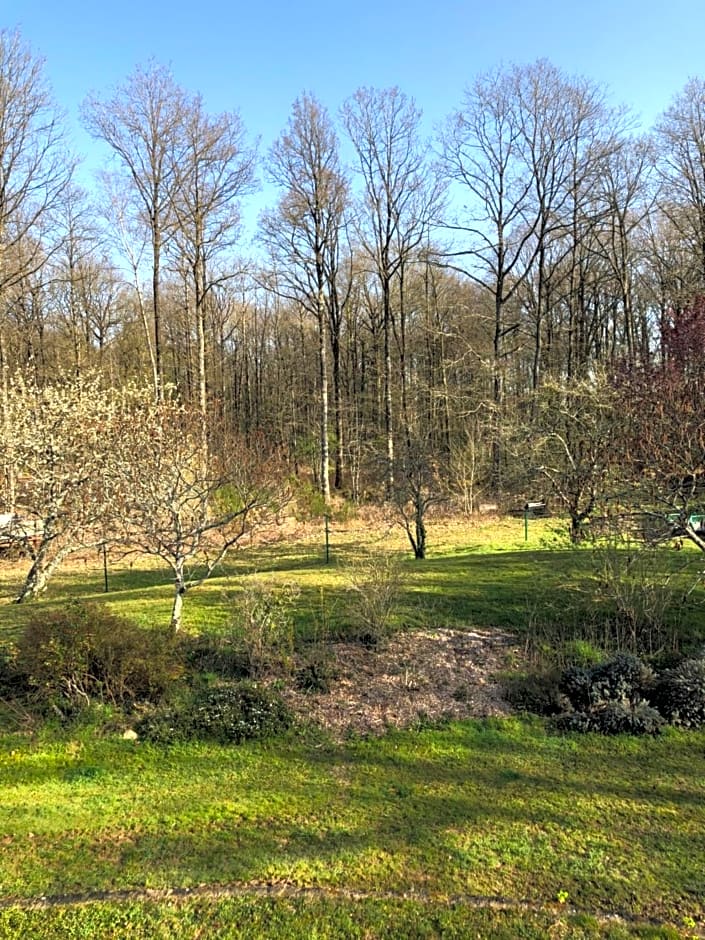 Chambres d'hôtes Domaine De La Jonquière, Bouloire