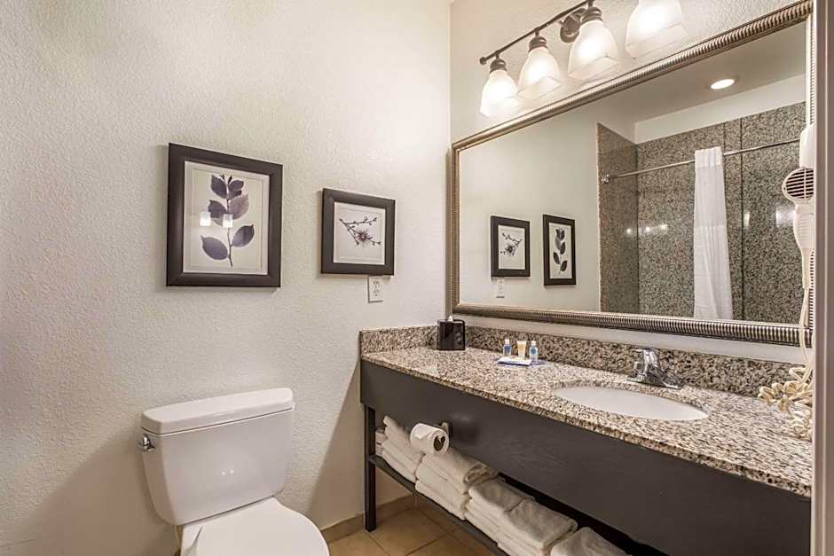 Comfort Inn & Suites Fairburn - Atlanta Southwest