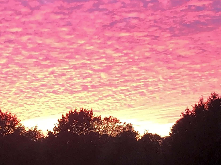 Erve Het Roolvink Boerderij Appartementen 40-50 M2