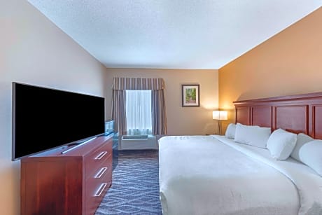 1 King Bed, Non-Smoking, Mini Suite, Whirlpool, Microwave And Refrigerator, High Speed Internet Acce