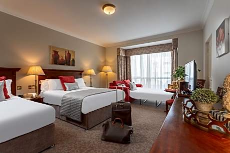 Superior Family Room