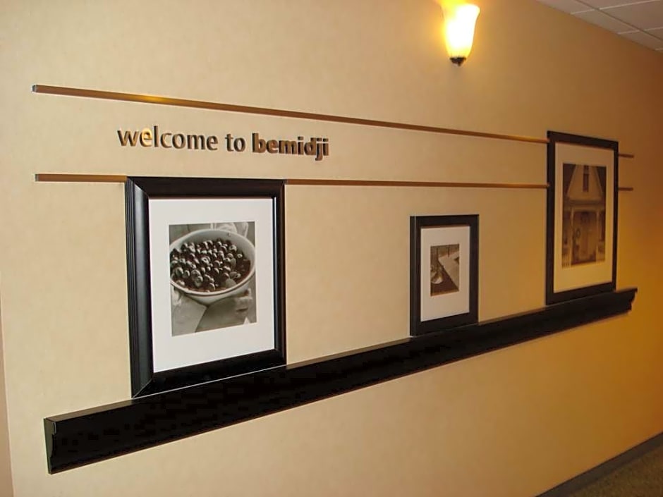 Hampton Inn & Suites Bemidji