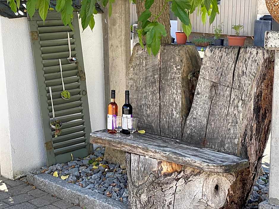Sali Homes - GaesteHaus Lamm Obersulm