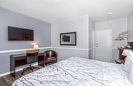 King Room with Garden View