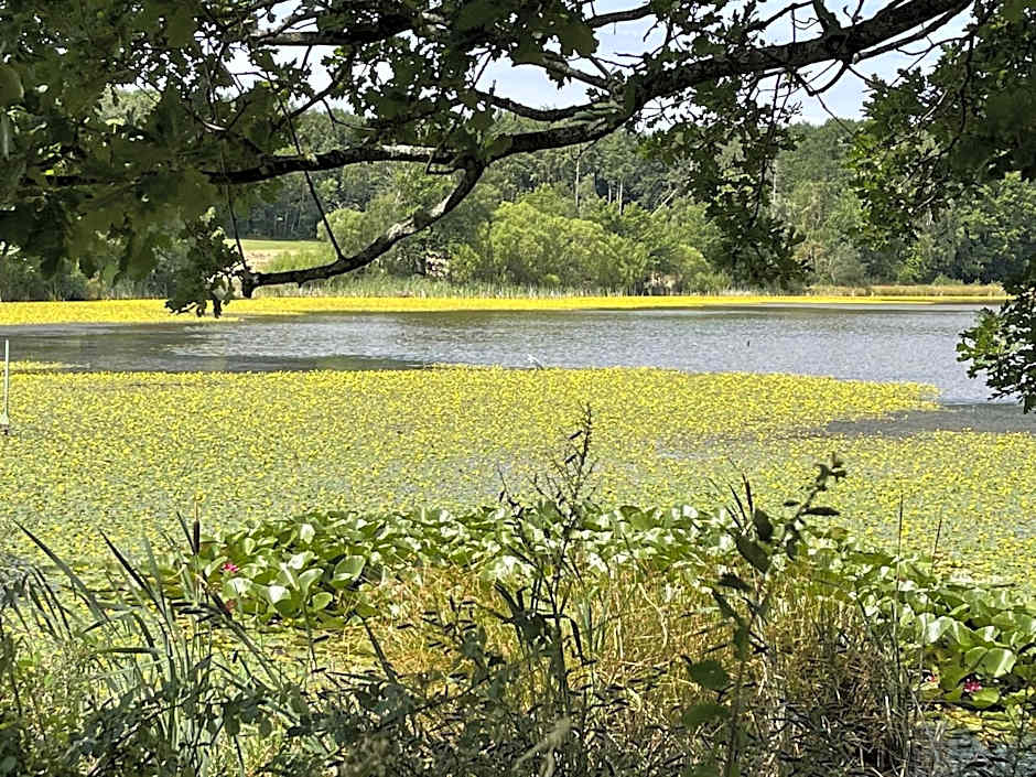 Landhotel Maarheide
