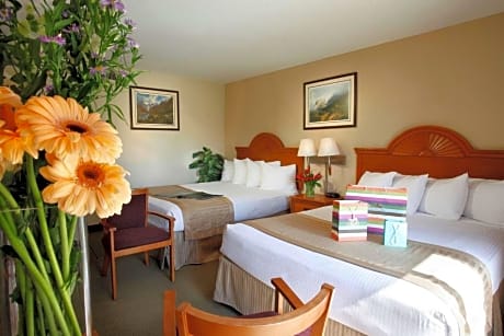 2 QUEEN BEDS,MOBILITY ACC,COMMASSIST,BATHTUB,NSMK,FULL BREAKFAST