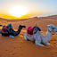 Merzouga heart camp