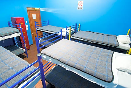 Single Bed in Mixed Dormitory Room (10 Beds)