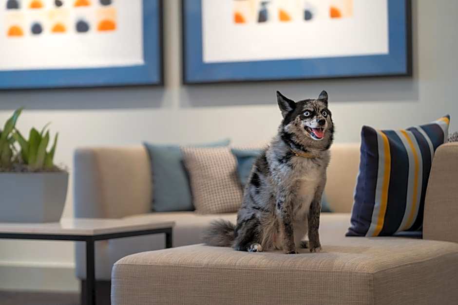 Hyatt House Lansing-University Area