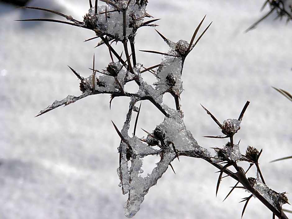 Aloney Habashan Guest village