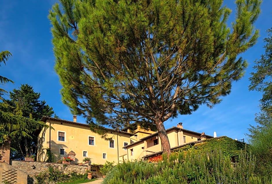 Torraccia di Chiusi Agriturismo Relais