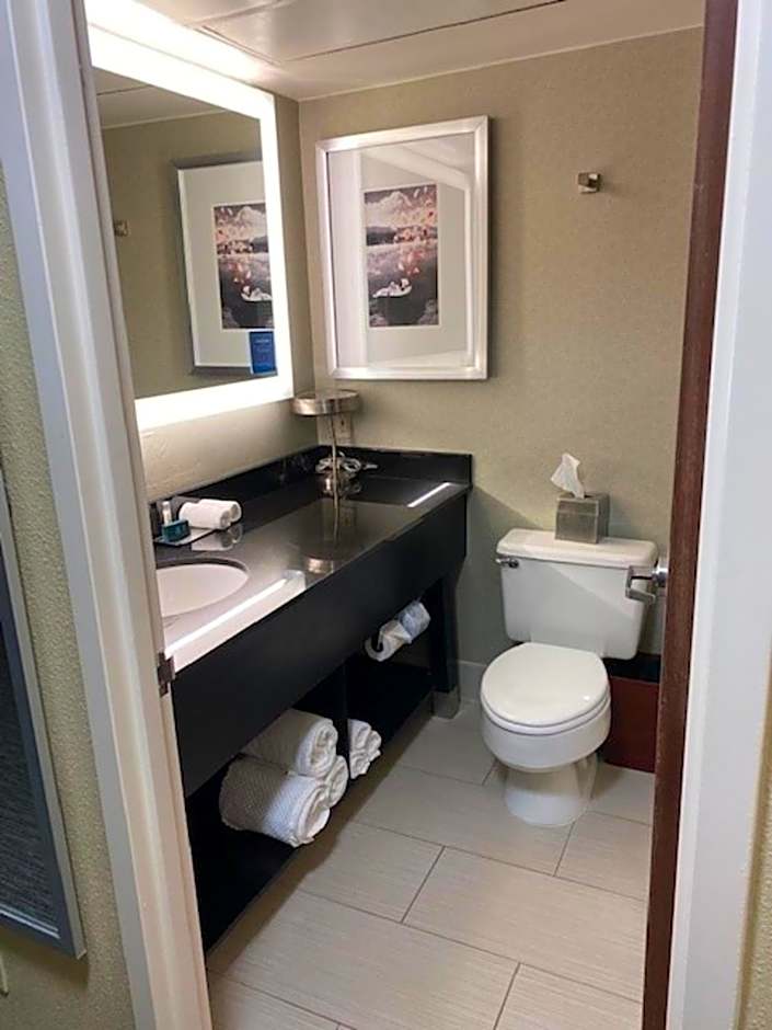DoubleTree by Hilton Hotel Detroit - Novi