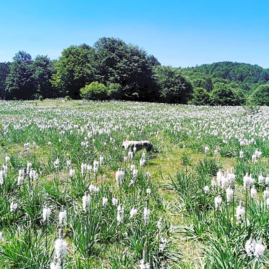Perla della Sila B&B