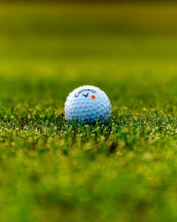 Candlewood Suites Safety Harbor By IHG