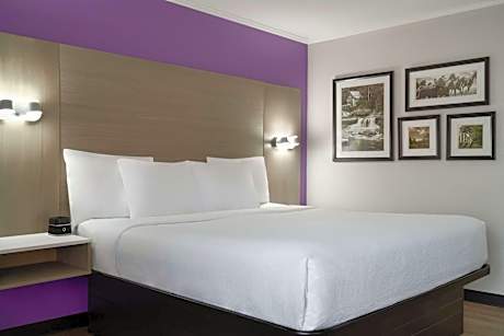 Standard King Room