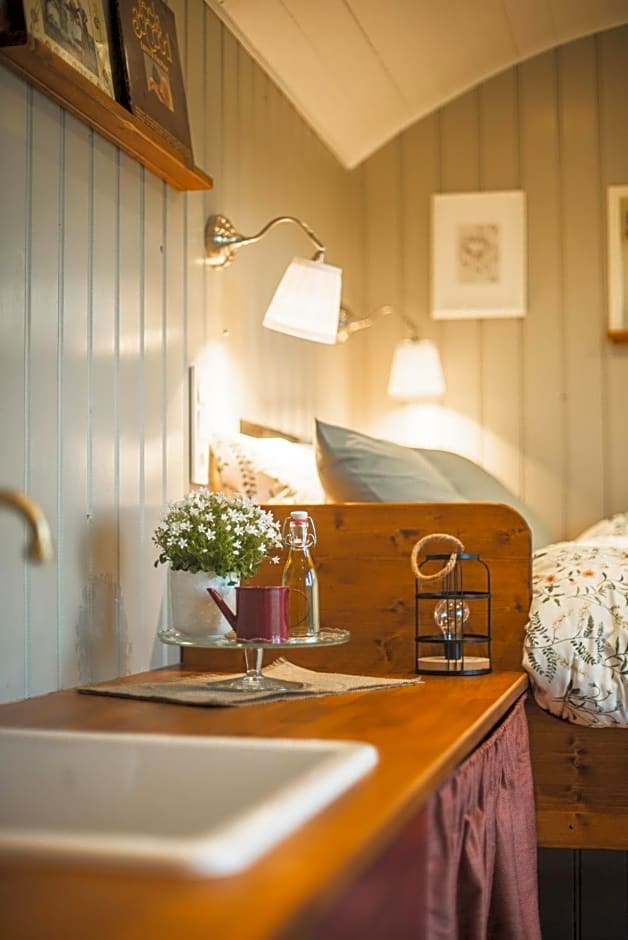 Tiny Houses Bij De Compagnons