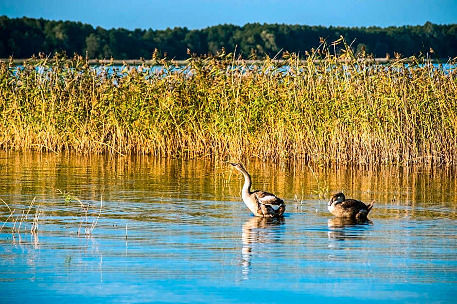 Aparthotel EuforiaPort