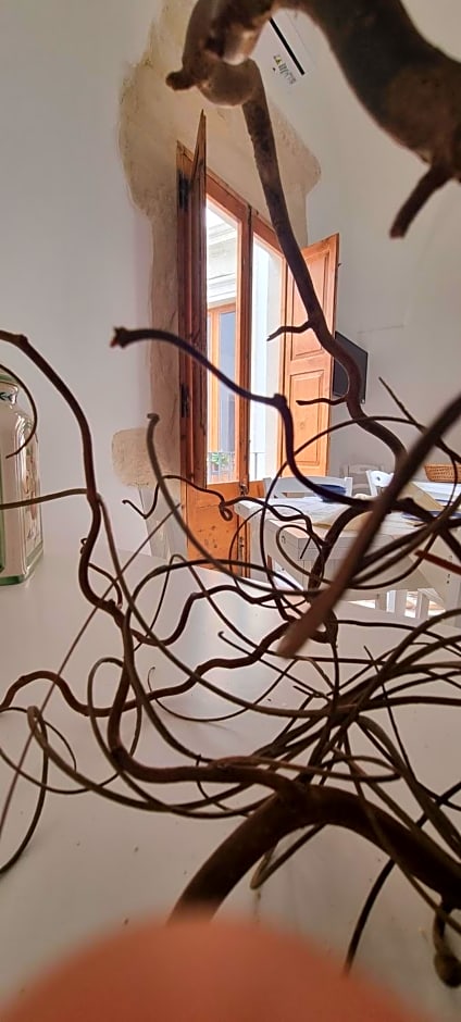 Palazzo Donna Chicchi