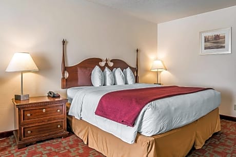 Non Smoking 1 King Bed