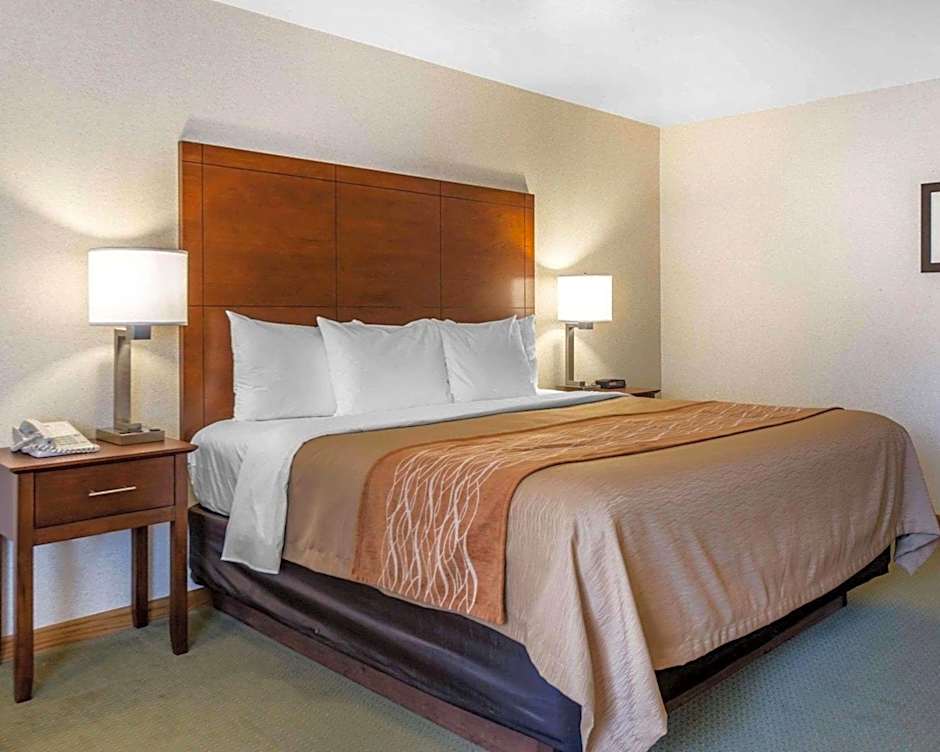 Comfort Inn Salida