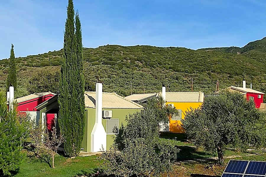 Socrates Organic Village - Wild Olive