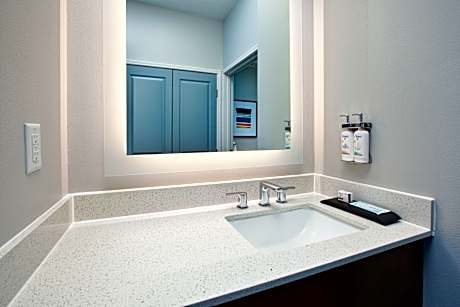 1 King Studio Suite Mobility Accessible