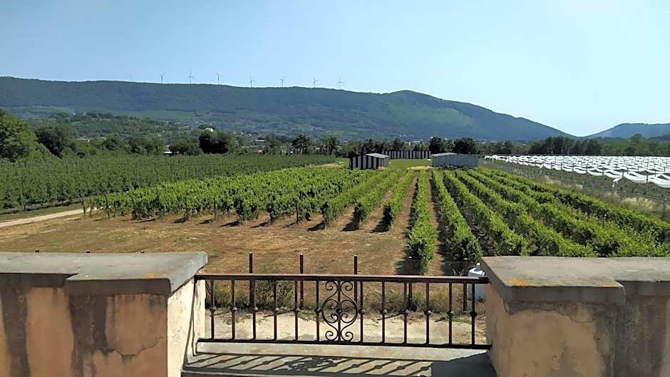 Agriturismo Il Casale del Cavaliere