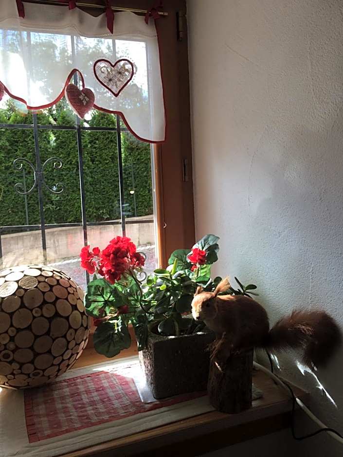 Hotel Garnì Salvanel