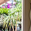 B&B Mandarino e Arancio by Montedelia Tour