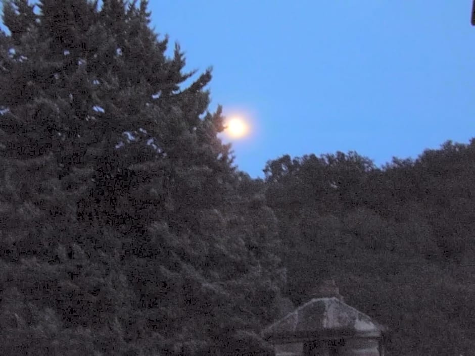 Piccolo Gesto d'Affetto