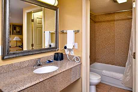 1 King Bed Suite Non-Smoking