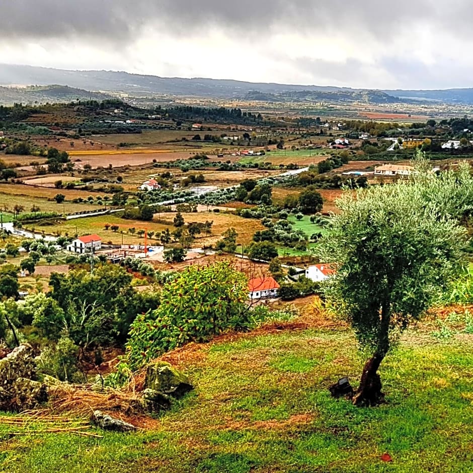 Branca Gonçalves Belmonte