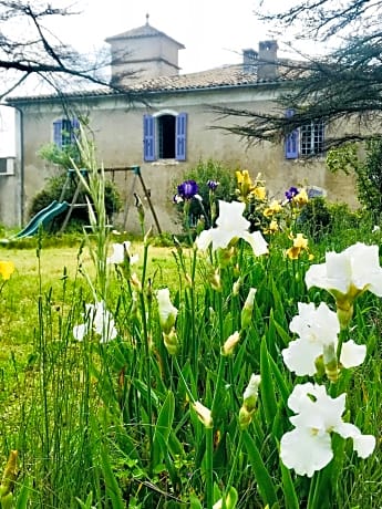 Domaine Mas Pigné