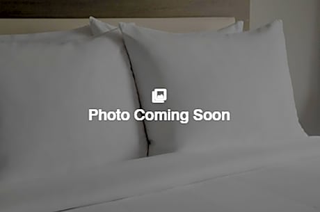 Classic, Guest room, 1 Queen, City view