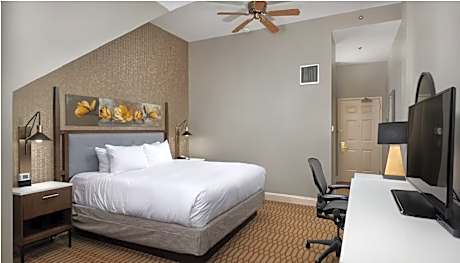 1 King Mobility/Hearing Accessible W/Tub