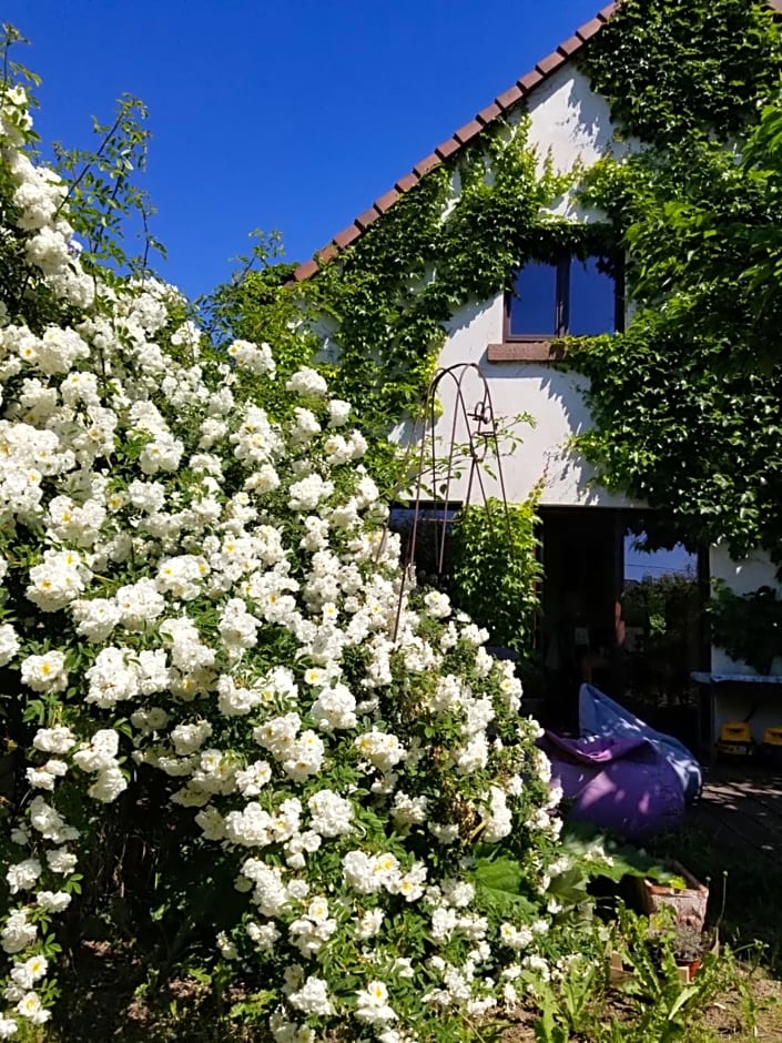 Chambre d'hôtes de charme, un temps en forêt