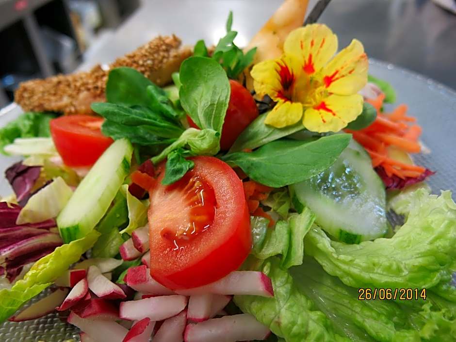 Hotel Hafen Hitzacker - Elbe