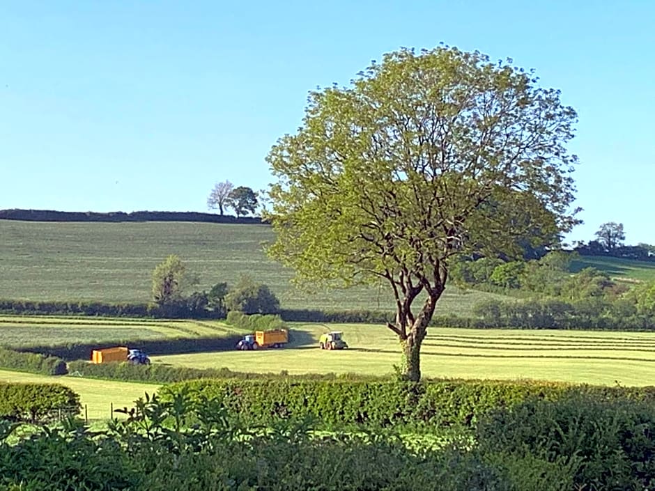 The Reindeer Retreat Daisy Double