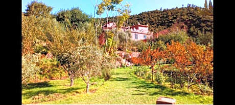 Ourika Timalizène le jardin des délices